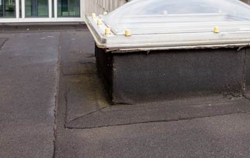 disadvantages of Abhainn Suidhe flat roofs