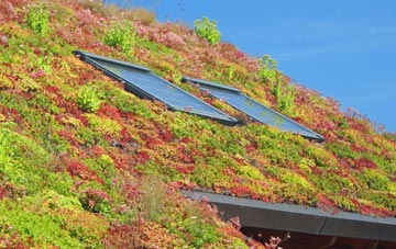 Abhainn Suidhe living roof systems